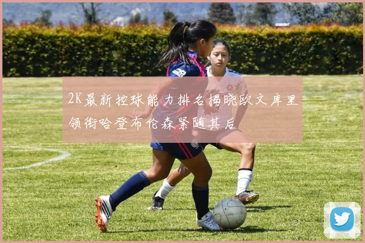 2K最新控球能力排名揭晓欧文库里领衔哈登布伦森紧随其后