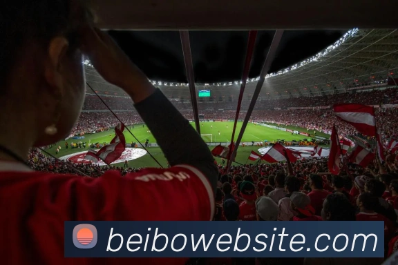 贝博体育服务体系